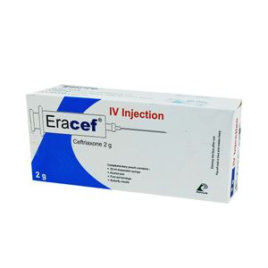 Eracef 500 mg/vial IM Injection