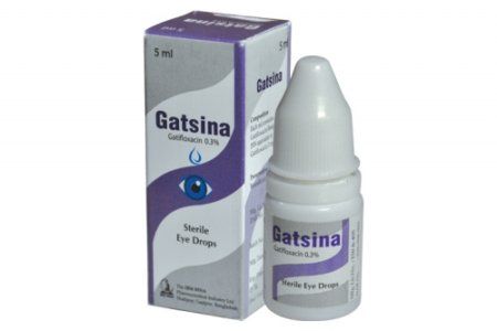 Gatsina