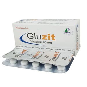 Gluzit