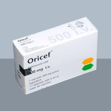 Oricef 500 mg/vial IM Injection