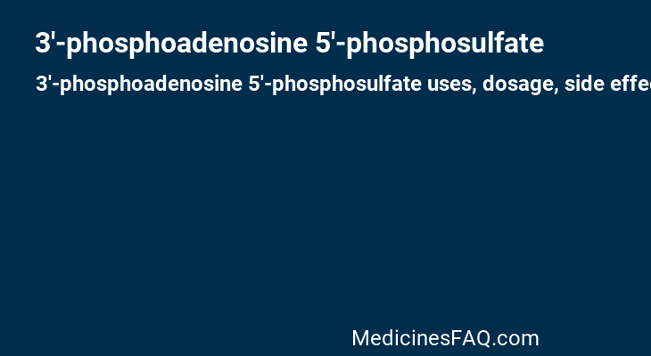 3'-phosphoadenosine 5'-phosphosulfate