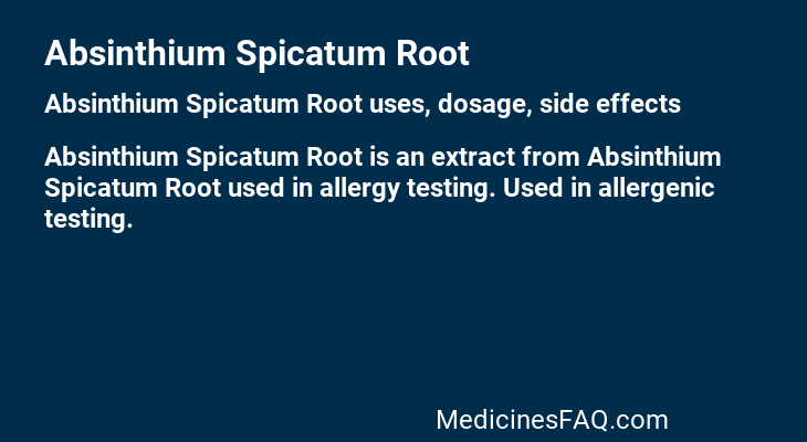 Absinthium Spicatum Root