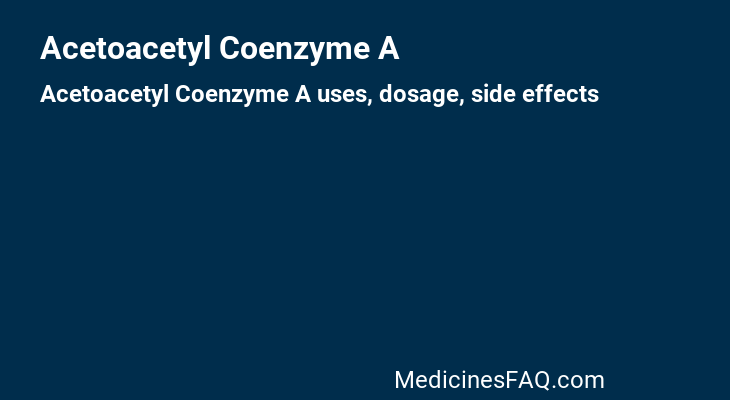 Acetoacetyl Coenzyme A