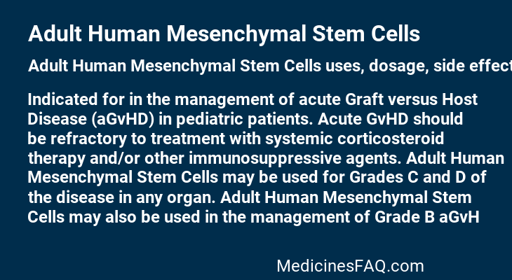 Adult Human Mesenchymal Stem Cells