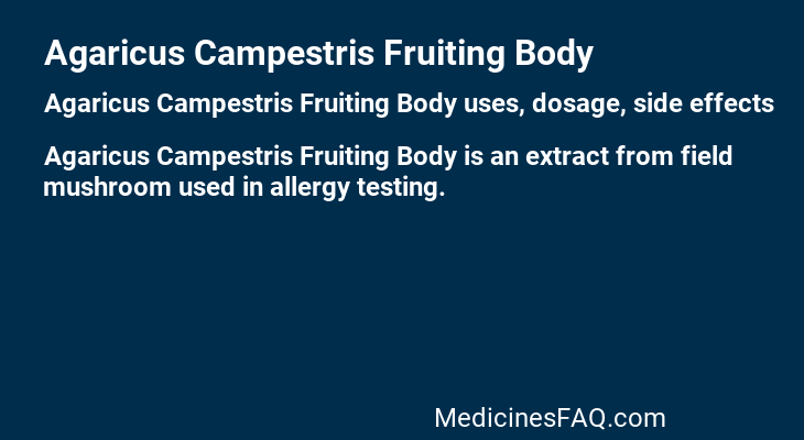 Agaricus Campestris Fruiting Body