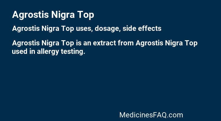Agrostis Nigra Top