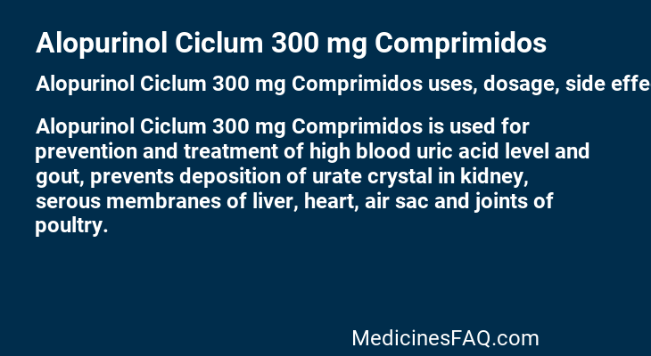 Alopurinol Ciclum 300 mg Comprimidos