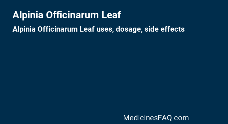 Alpinia Officinarum Leaf