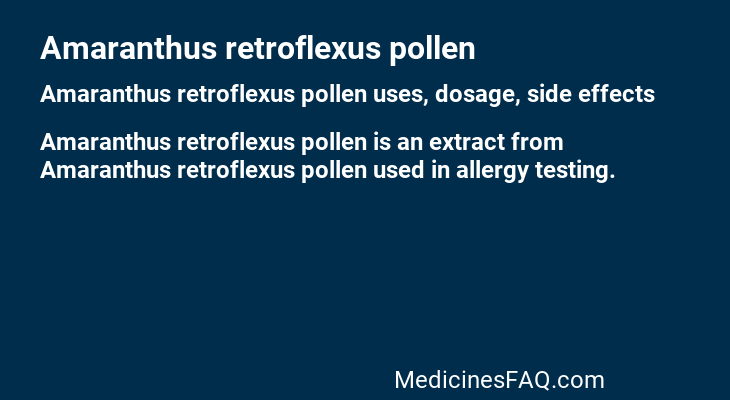 Amaranthus retroflexus pollen