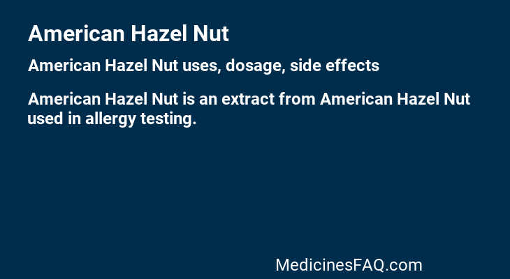 American Hazel Nut