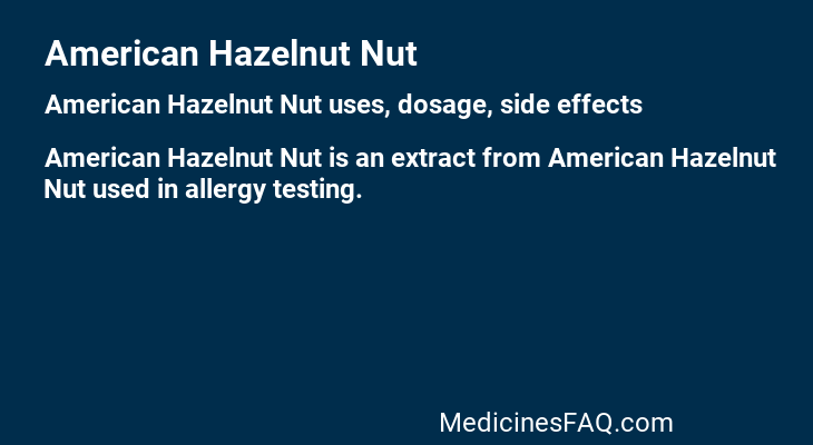 American Hazelnut Nut