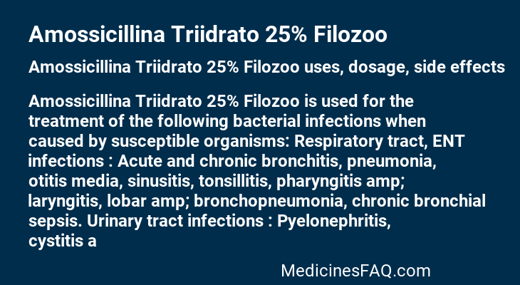 Amossicillina Triidrato 25% Filozoo