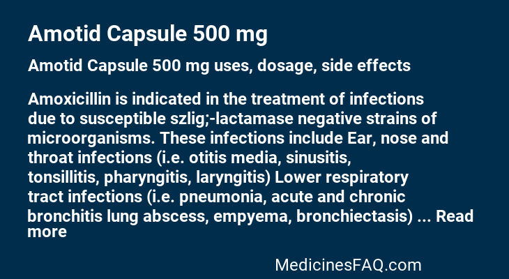 Amotid Capsule 500 mg