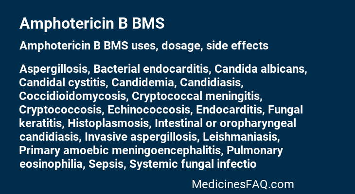 Amphotericin B BMS