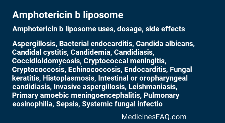 Amphotericin b liposome