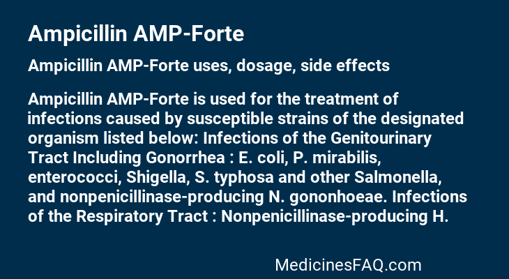 Ampicillin AMP-Forte