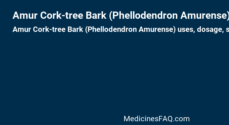 Amur Cork-tree Bark (Phellodendron Amurense)
