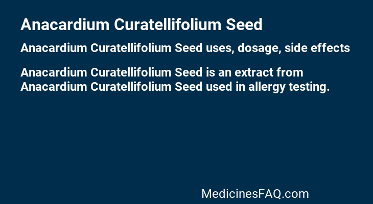 Anacardium Curatellifolium Seed
