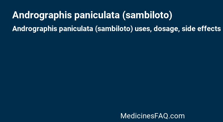 Andrographis paniculata (sambiloto)