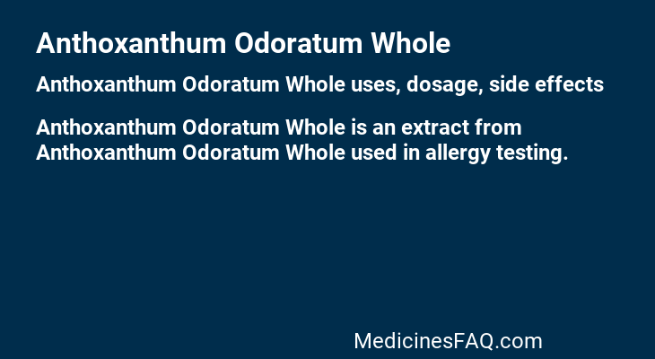 Anthoxanthum Odoratum Whole