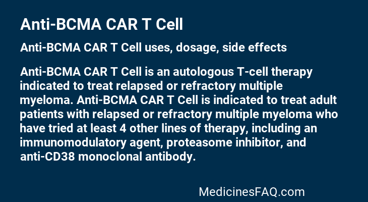 Anti-BCMA CAR T Cell