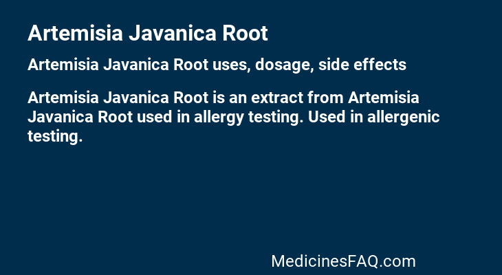 Artemisia Javanica Root