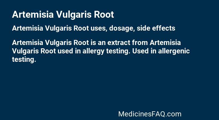 Artemisia Vulgaris Root