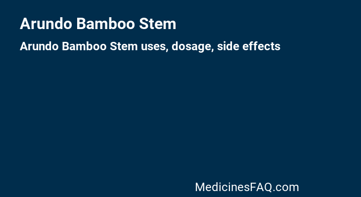 Arundo Bamboo Stem