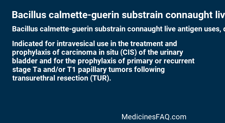 Bacillus calmette-guerin substrain connaught live antigen