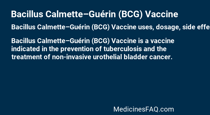 Bacillus Calmette–Guérin (BCG) Vaccine