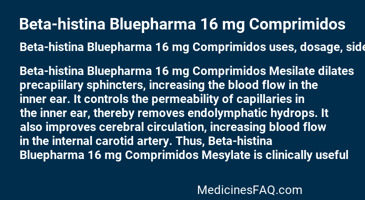 Beta-histina Bluepharma 16 mg Comprimidos