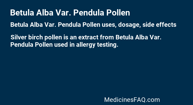 Betula Alba Var. Pendula Pollen