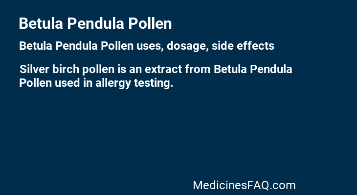 Betula Pendula Pollen