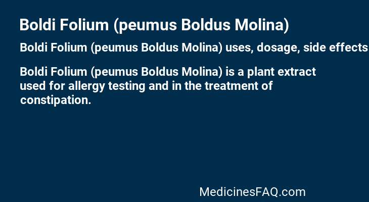 Boldi Folium (peumus Boldus Molina)