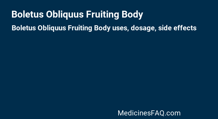 Boletus Obliquus Fruiting Body