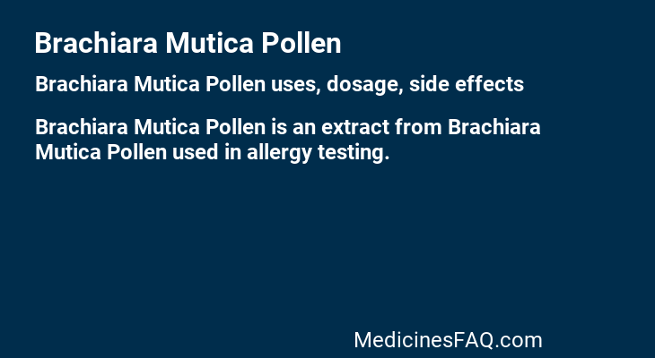 Brachiara Mutica Pollen
