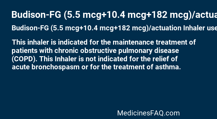 Budison-FG (5.5 mcg+10.4 mcg+182 mcg)/actuation Inhaler