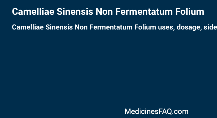 Camelliae Sinensis Non Fermentatum Folium
