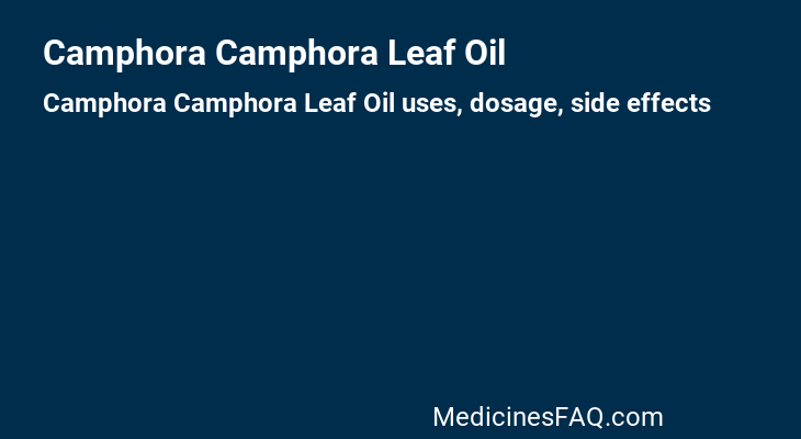 Camphora Camphora Leaf Oil