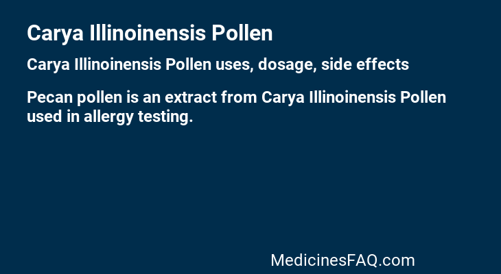 Carya Illinoinensis Pollen