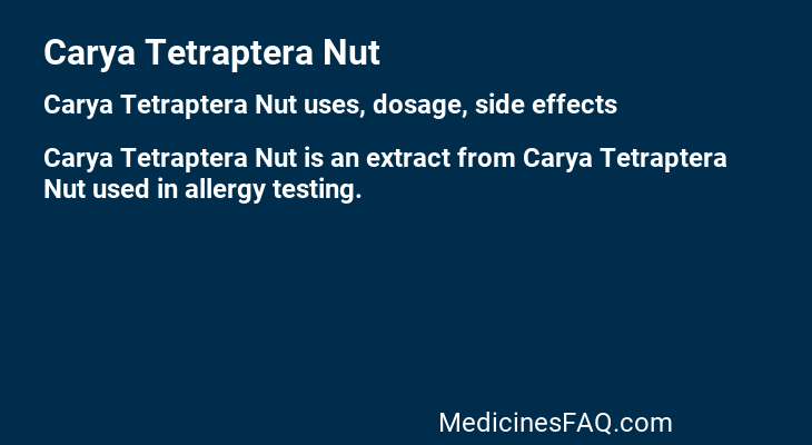 Carya Tetraptera Nut