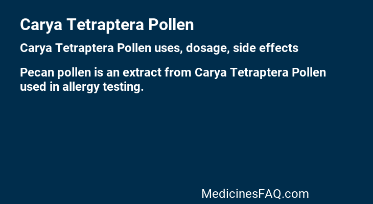 Carya Tetraptera Pollen