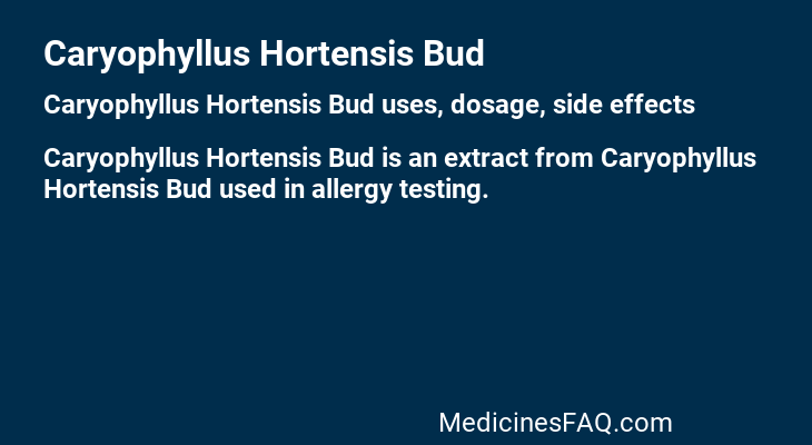 Caryophyllus Hortensis Bud