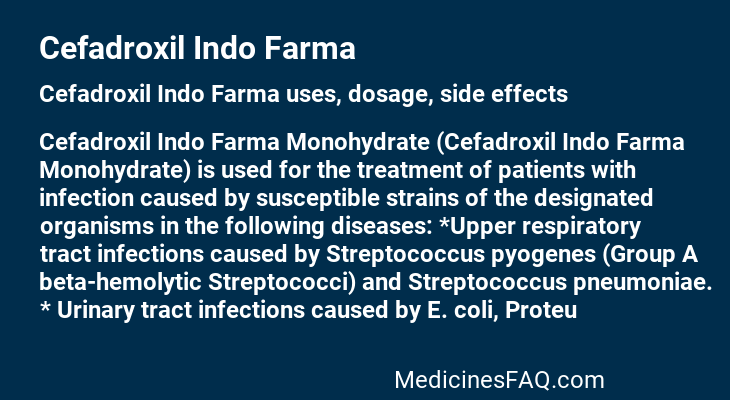 Cefadroxil Indo Farma