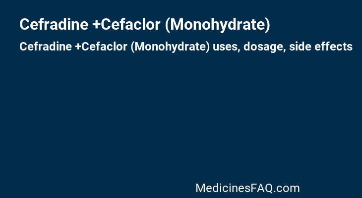 Cefradine +Cefaclor (Monohydrate)