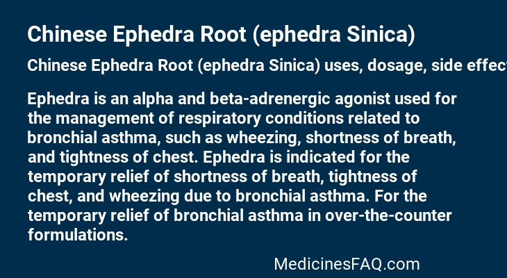 Chinese Ephedra Root (ephedra Sinica)