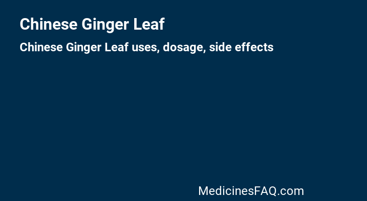 Chinese Ginger Leaf