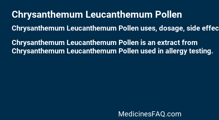 Chrysanthemum Leucanthemum Pollen