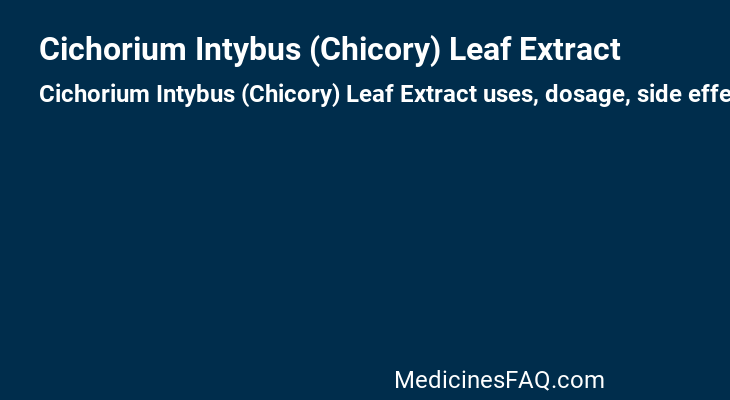 Cichorium Intybus (Chicory) Leaf Extract