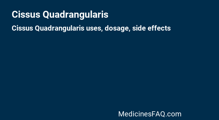 Cissus Quadrangularis
